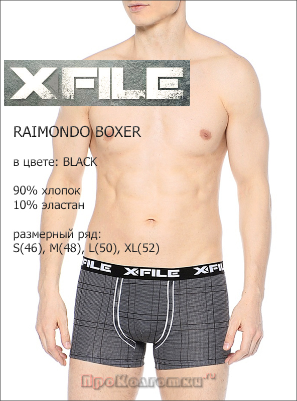 Бельё Мужское X File Raimondo Boxer - фото 2